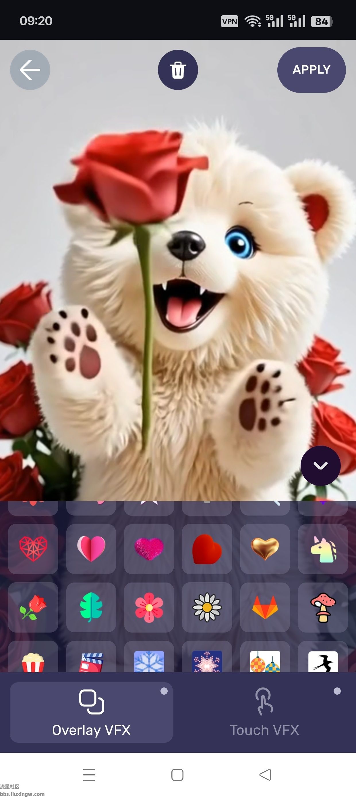 Wave Live Wallpapers动态壁纸专业版v7.8.9，唯美4K壁纸，可无限定制